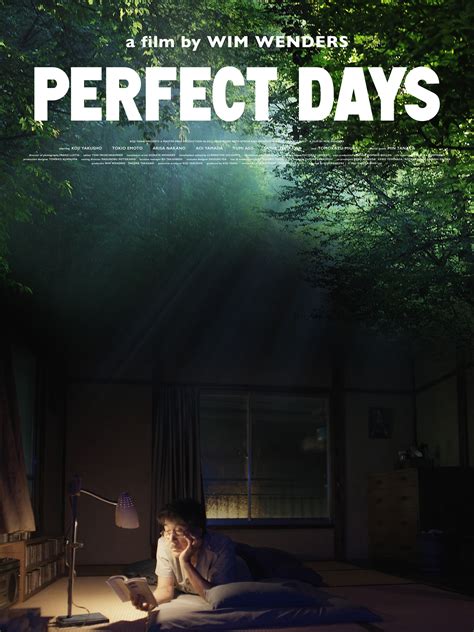 perfect days rotten tomatoes|perfect days where to watch.